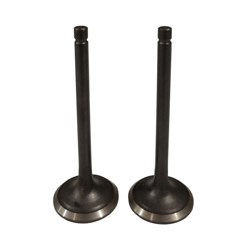 Клапаны (пара) LC2V90FD/500550082-0001