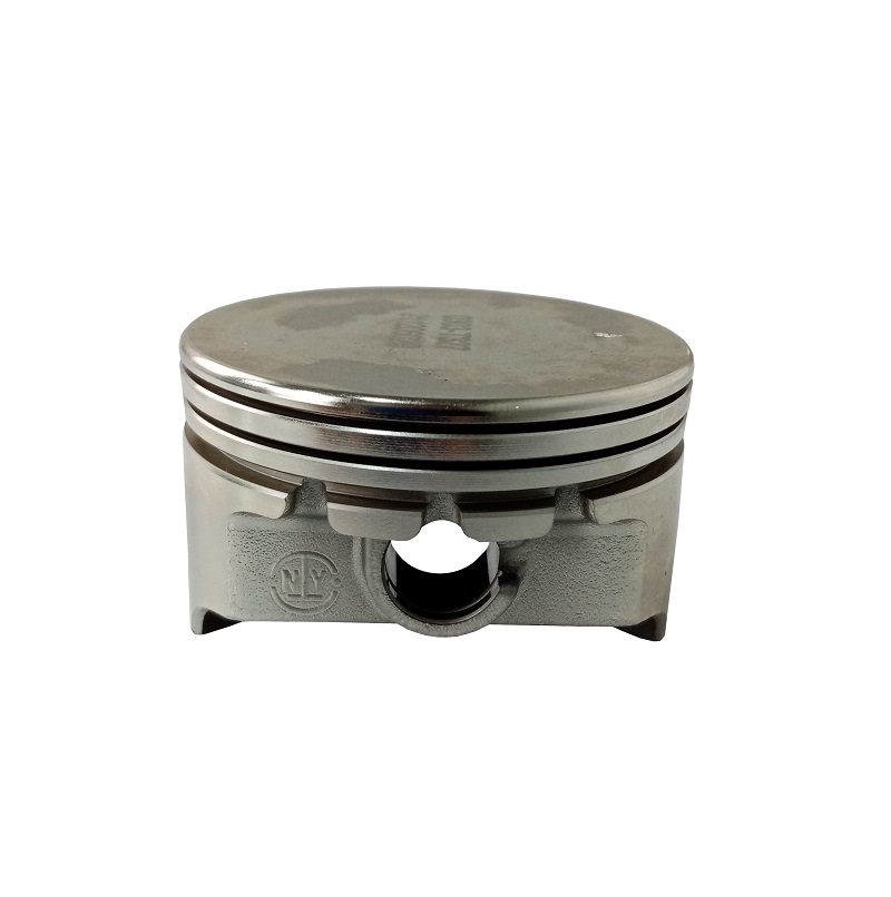 Поршень LC1P65FE(-2)/130030375-0001