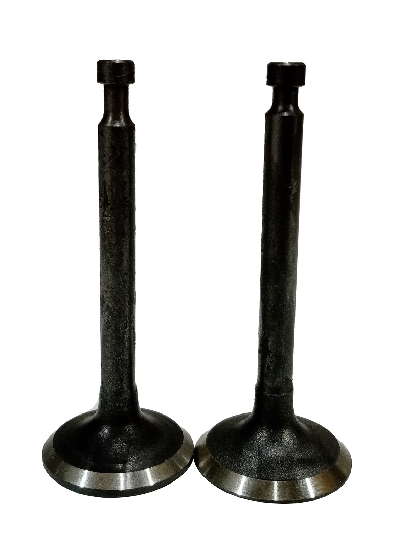 Клапаны (пара) G160-200F,LC168F-2H,LC170F-2/500550129-0001