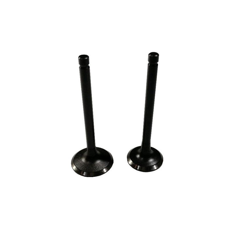 Клапаны (пара) LC2V80F, LC2P82F,LC2V82FD/500550037-0001