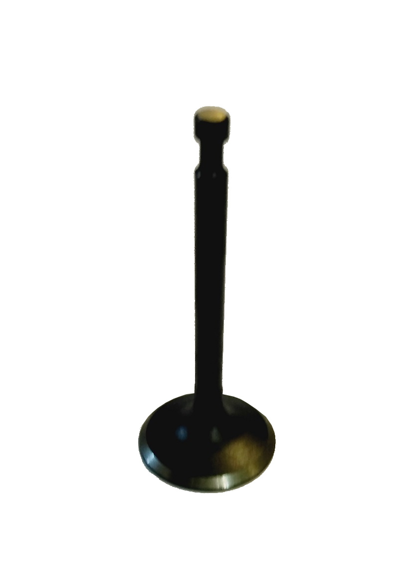 Клапан впускной LIFAN 14411/182F-192F-2