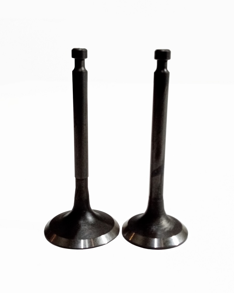 Клапаны (пара) LC175F-2,LC1P75F,G250FDS/500550076-0001