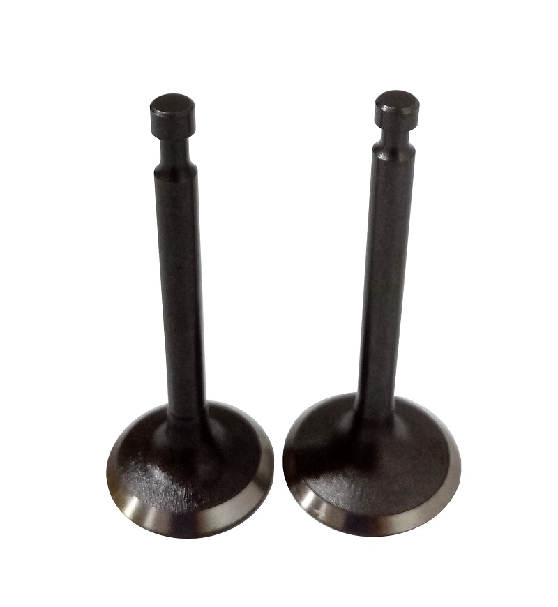 Клапаны (пара) LC1P70FA/500550029-0001