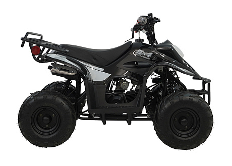 Машинокомплект 81439 МК 110сс "HAWK" CY110ATV-1,черно-белый