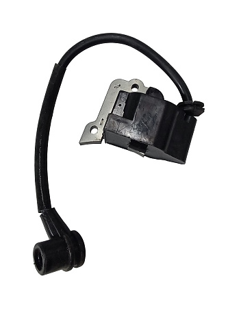 Модуль зажигания (катушка) (3800)