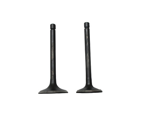 Клапаны (пара) LC2V78F-2A/500550030-0001