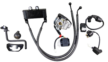 Двигатель Dingo180 4х такт. 180 см3 161QMJ (GY6-180) моноблок с редуктором в сборе и масл. охлажд.