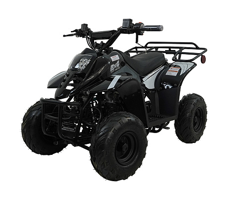 Машинокомплект 81439 МК 110сс "HAWK" CY110ATV-1,черно-белый