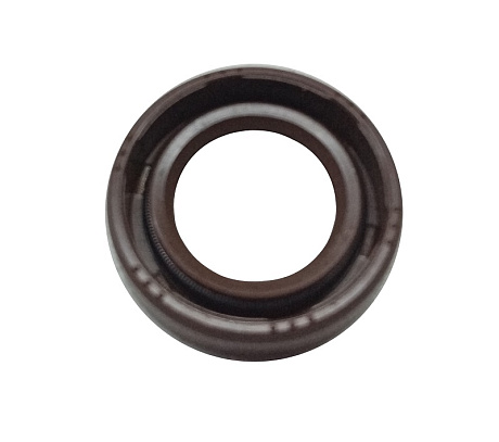 Сальник вала 15х25х6 для лодочного мотора 196cc